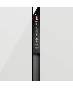 Freestanding refrigerator RFSN 1990 WG