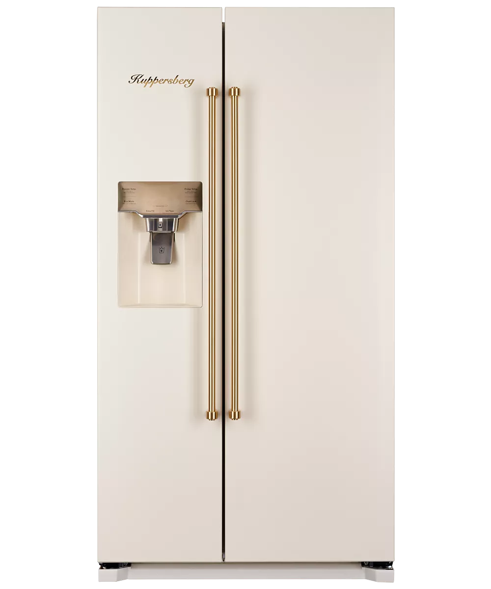 Freestanding refrigerator NSFD 17793 C