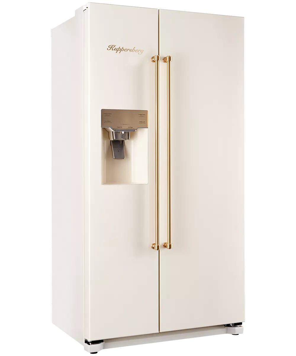 Freestanding refrigerator NSFD 17793 C