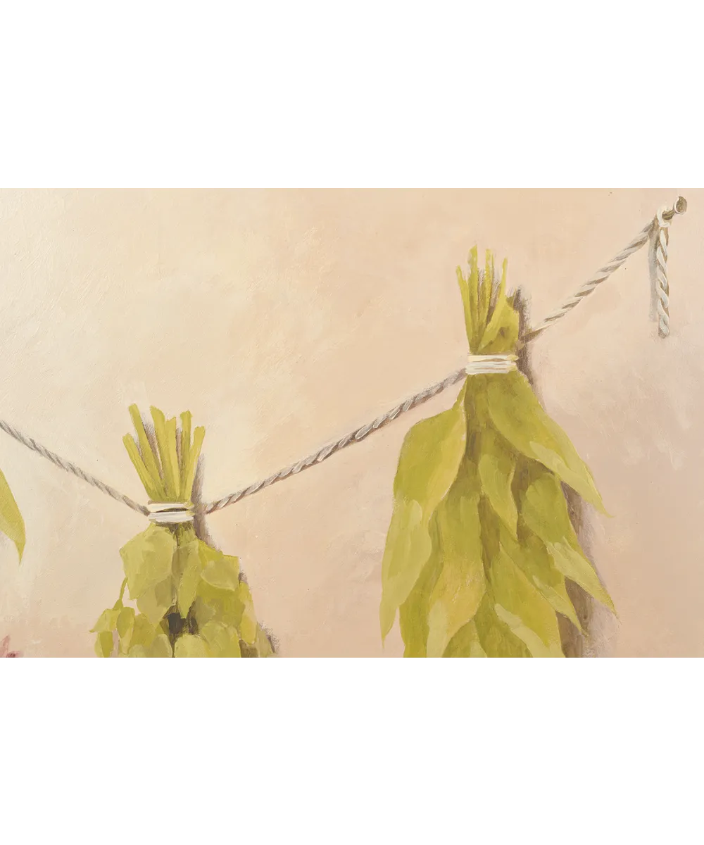 Freestanding refrigerator NFM 200 CG серия Вино