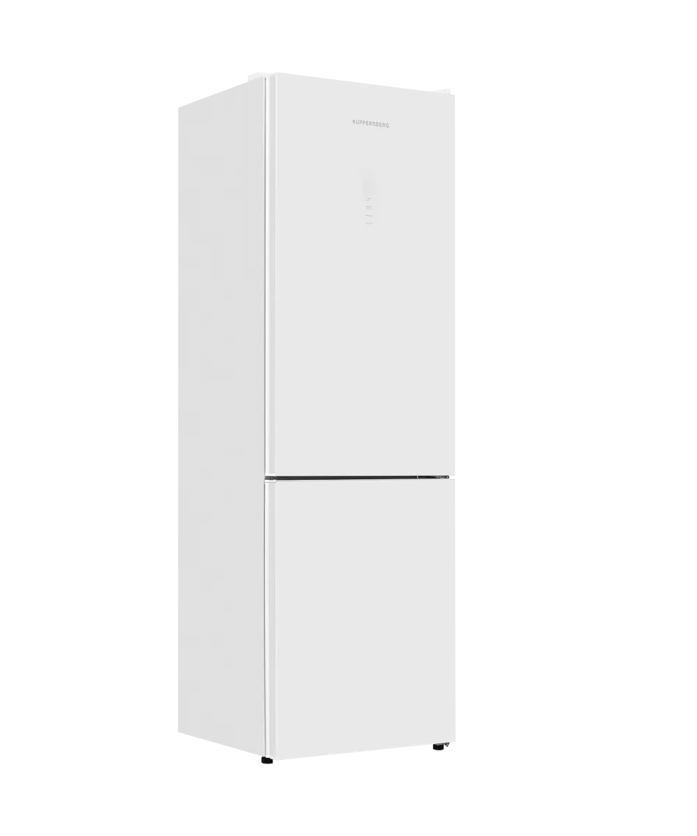 Freestanding refrigerator RFCN 2013 WG