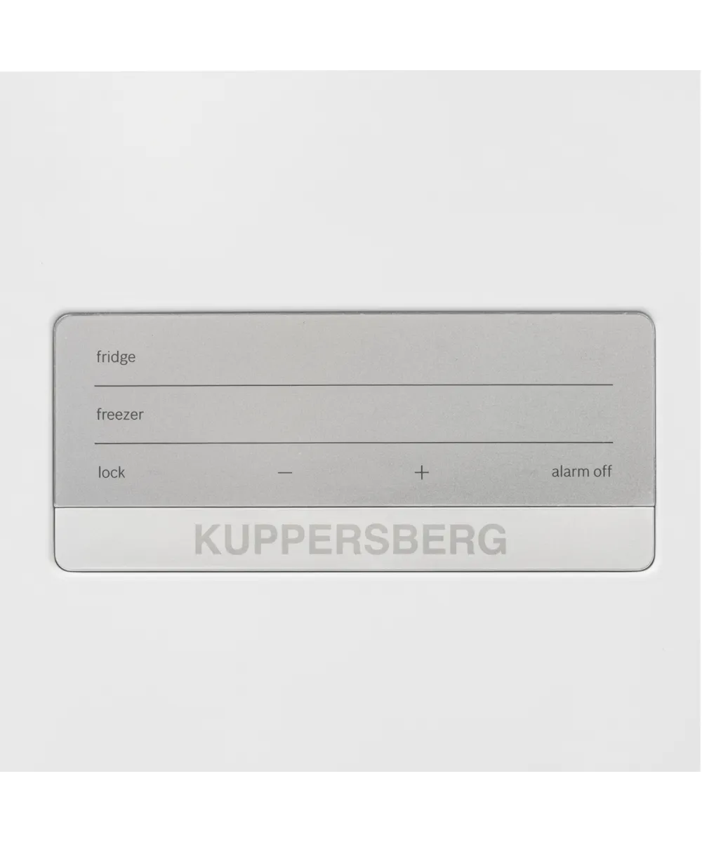 Freestanding refrigerator RFCN 2010 W